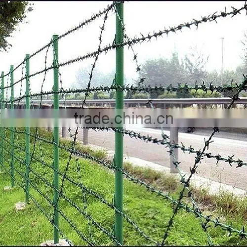 An inexpensive fencing option Thorn rope fence(factory ,low price)