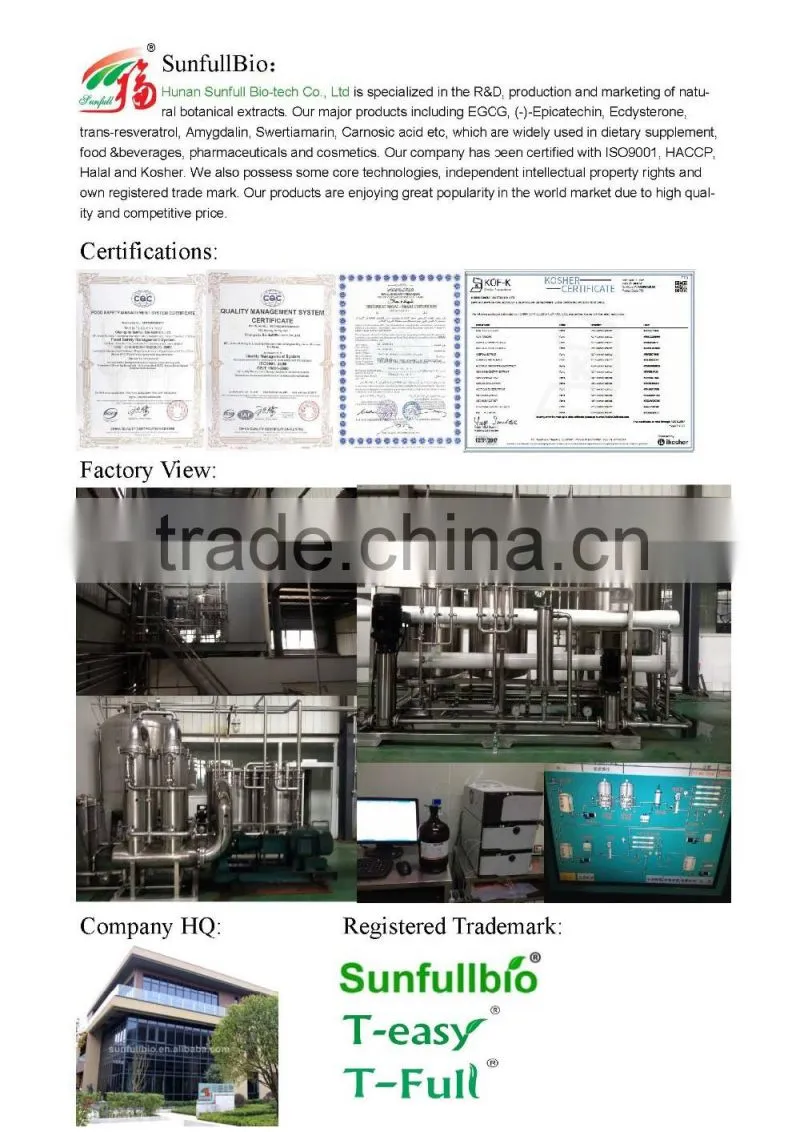 CAS 84650-60-2 green tea extract EC 95%