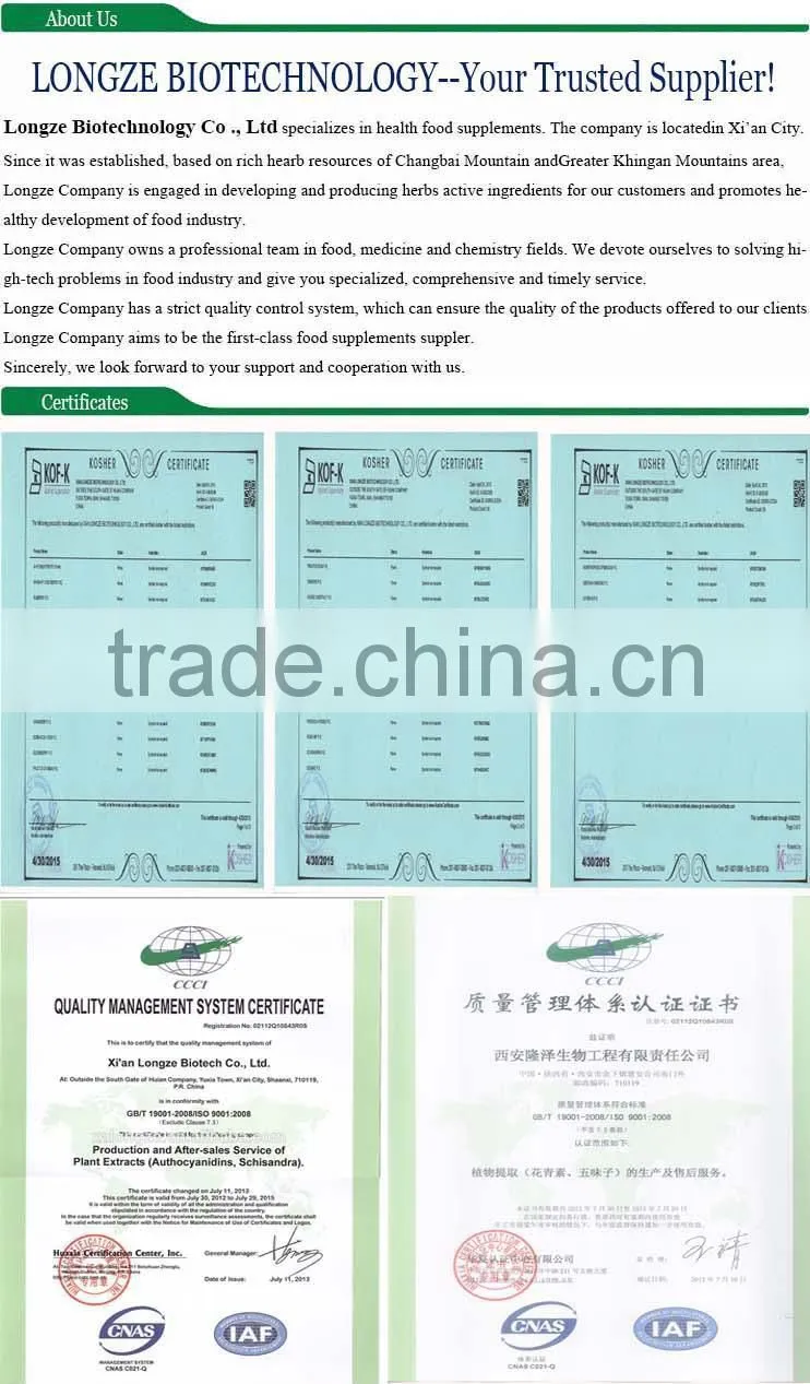 High-quality Sprayed-Dried Grape Juice Fruit Powder Vitis vinifera for Food and Beverage