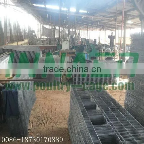 Supply Hot Sale Cheap Innaer Cock Cage for Broiler
