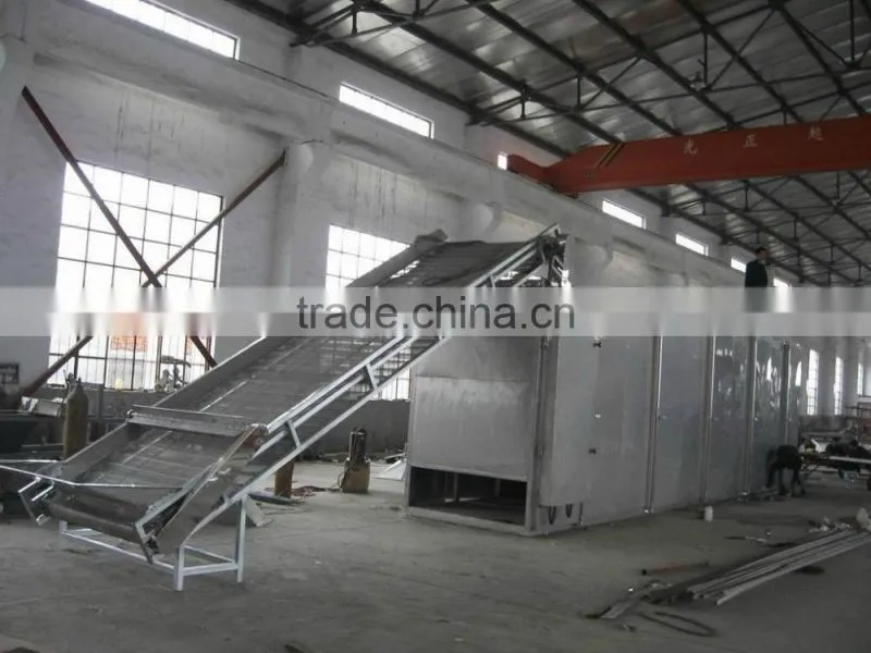 Nanyang Brand latest and cleaning hot air continuous mesh belt dry fruit machine