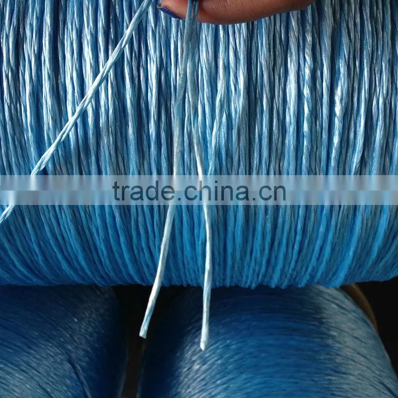 pp raffia string