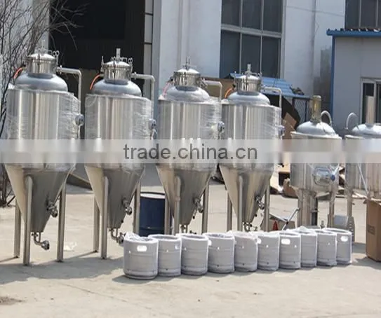 100l fermenter
