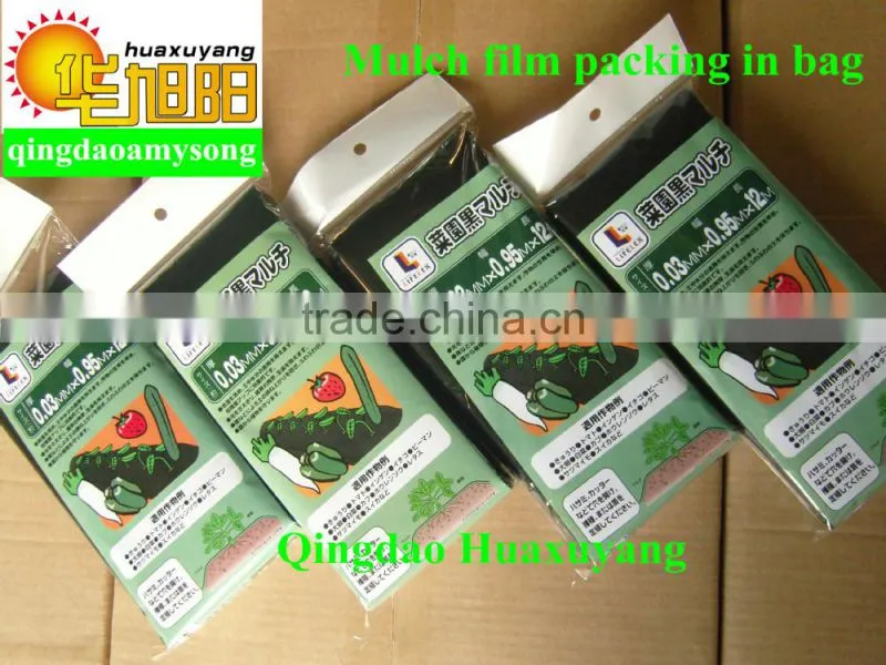 Blow molding agricultural HDPE plastic film roll factory
