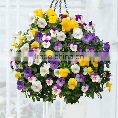 wedding decoration hanging flower planter hanging basket
