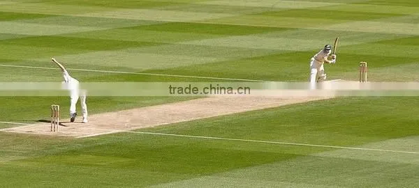 New products 2017 low price custom logo wood whole sale tennis ball yellow cricket bat in dark grips made in china