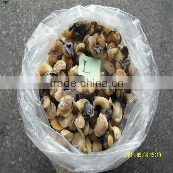 frozen seafood conch