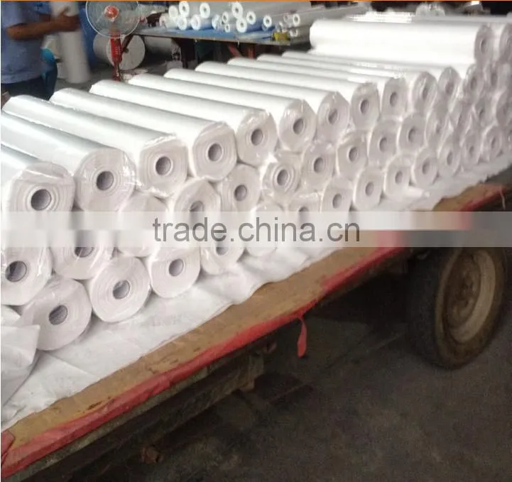 Steady Quality China Agricultural PP Non-woven Fabric,Crop Cover