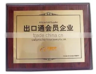 Changzhou Day Colour Jewelry Co., Ltd. company overview - view 2