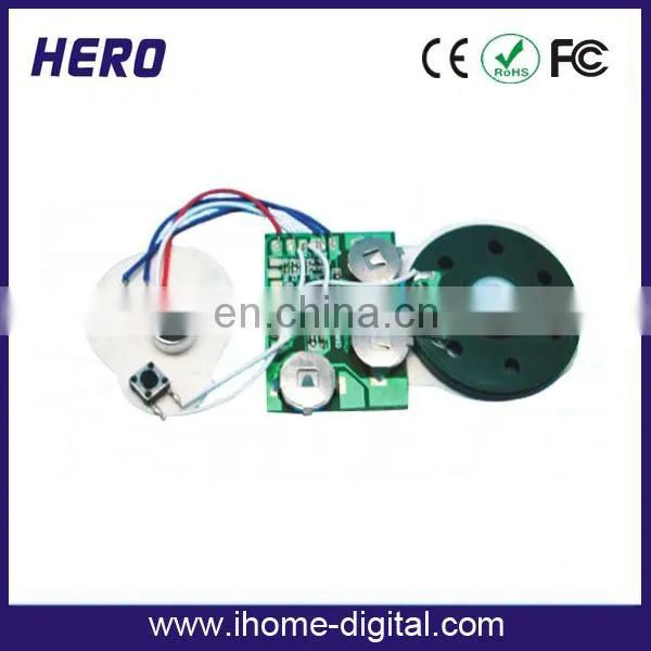 Voice module for gift box