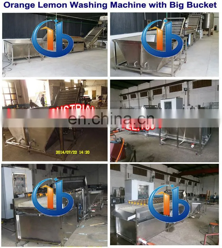 Potato or apple vegetable and fruit washing machines,/ Ozone Fruit and Vegetable Washer