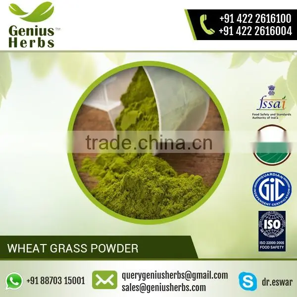 High Grade Wheat Grass Powder For OEM
