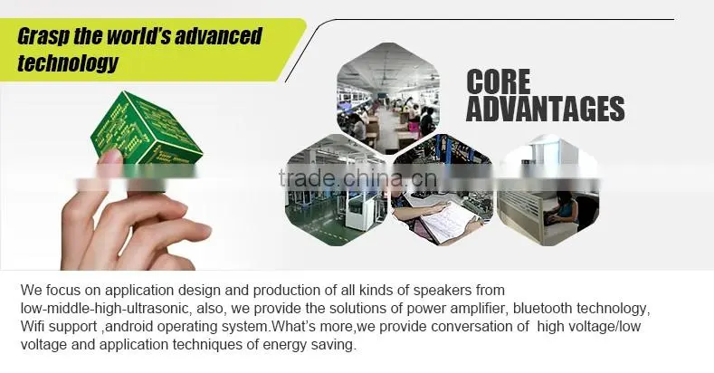 Skin Care / Home Appliance / Spa Aroma Diffuser