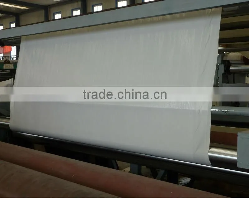 Composite geomembrane with geotextile and membrane