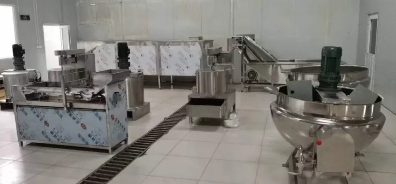 Genyond Complete Raspberry bar Fruit Leather Forming Making Machine Raspberry Fruit Roll up Process Plant Production Line
