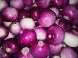 Fresh Onion Peeling Machine--with 1 Belt