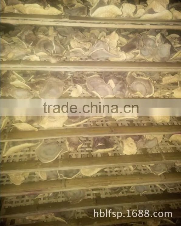 5-7 cm big cap Dried Smooth Low Price Shiitake Mushroom/ mushroom cap