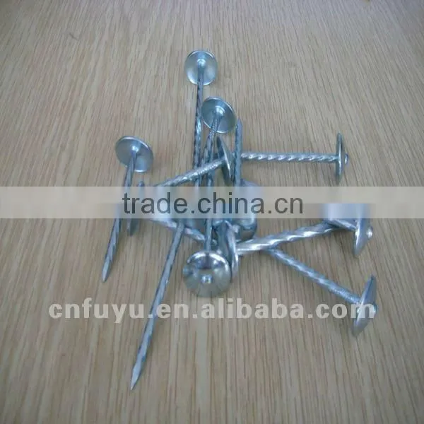 electro galvanized twisted shank roofing nails