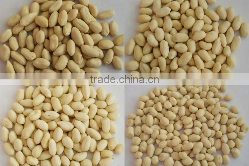 New Crop Chinese Raw Peanut In Shell 9/11