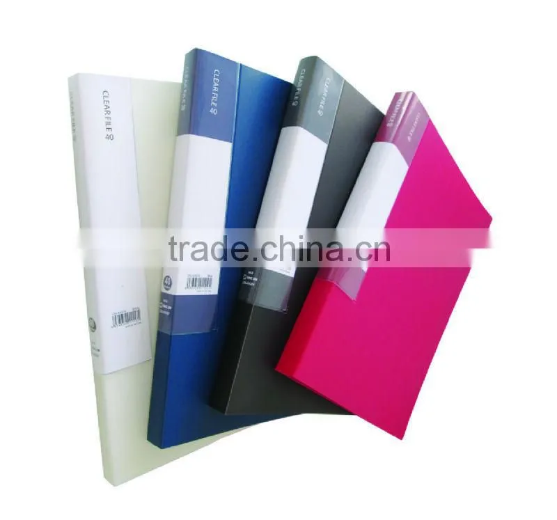 Clear File 236-40 pockets