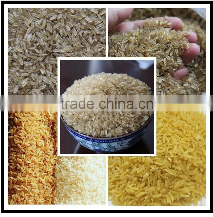 Nutritional /Artificial Brown Rice Processing Equipment/Production Machinery
