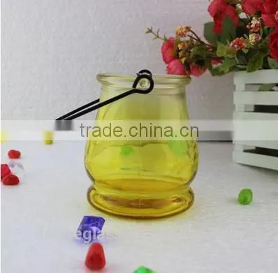Glass Vase Bottle for plant With Metal Handle Candle Hydroponic/Home Decoration