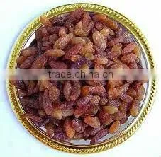 Jumbo Red Raisin