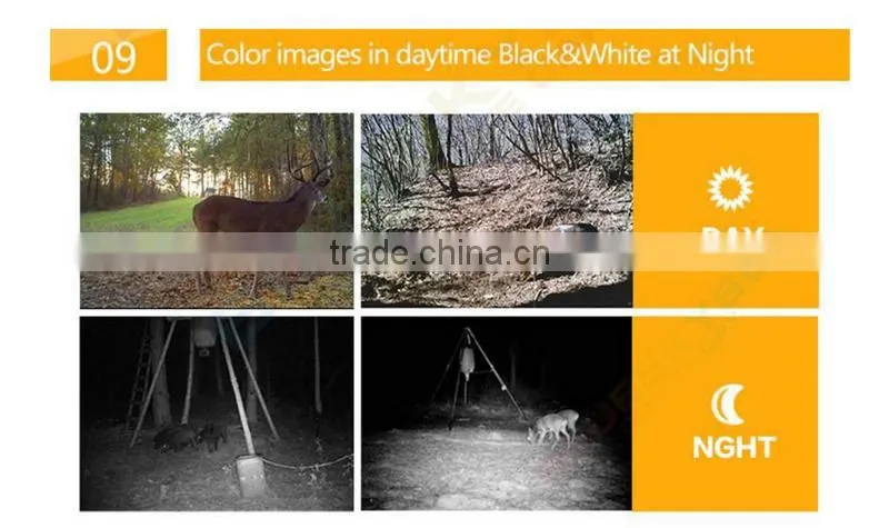 hunting camera for wholesales hunting camera gprs H801W 2016
