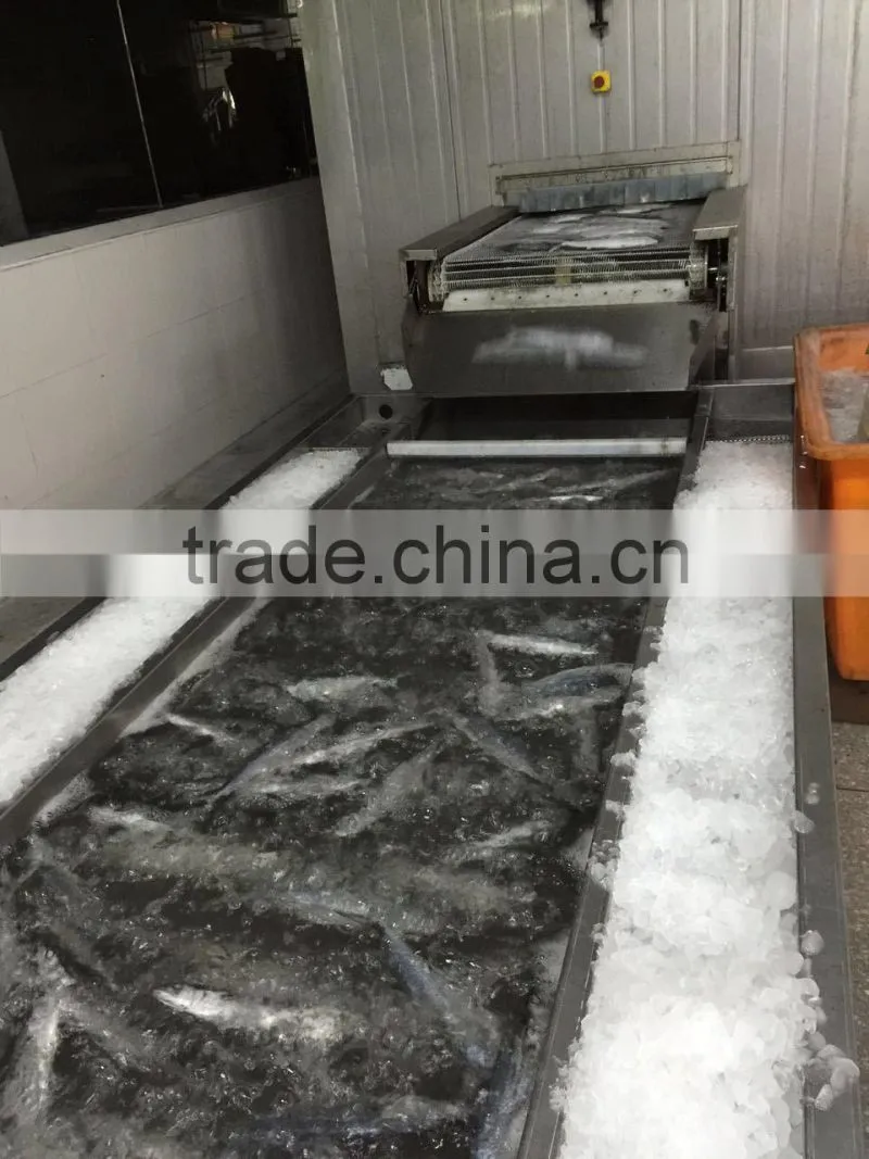 Bulk Packing Good Quality Spanish Mackerel Frozen On Board
