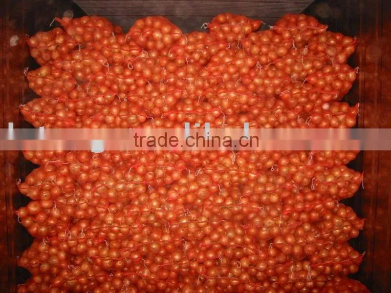 Fresh Onion Export to Dubai