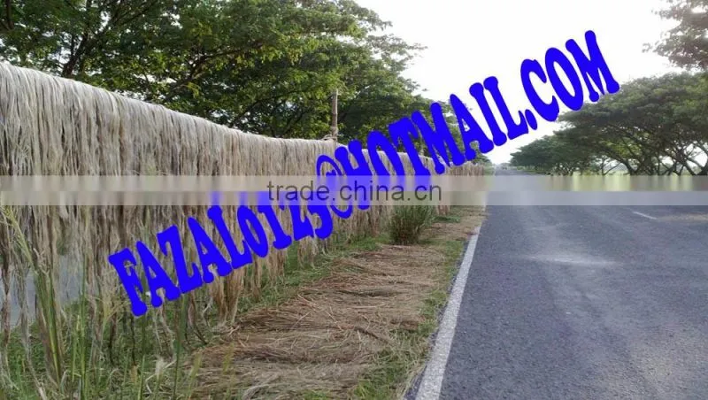 Raw Jute