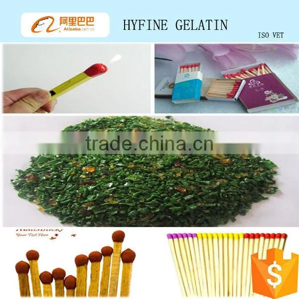Match glue/technical skin gelatin as adhesive for matches
