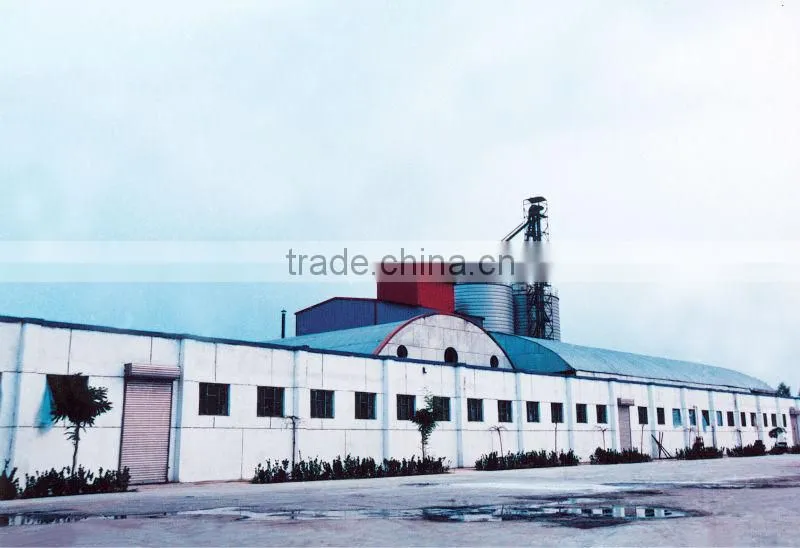 meat bone meal hot sale (MBM)