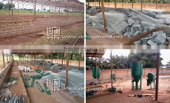a type automatic battery chicken layer poultry cages for nigeria/africa