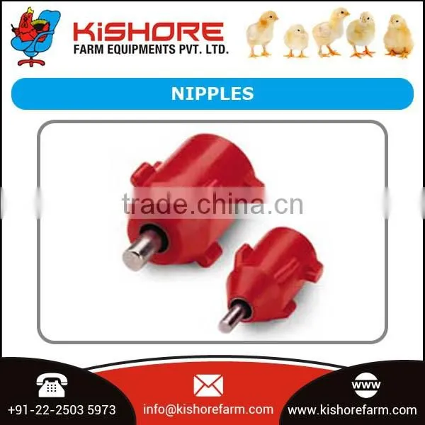Automatic Poultry Nipple Drinking System
