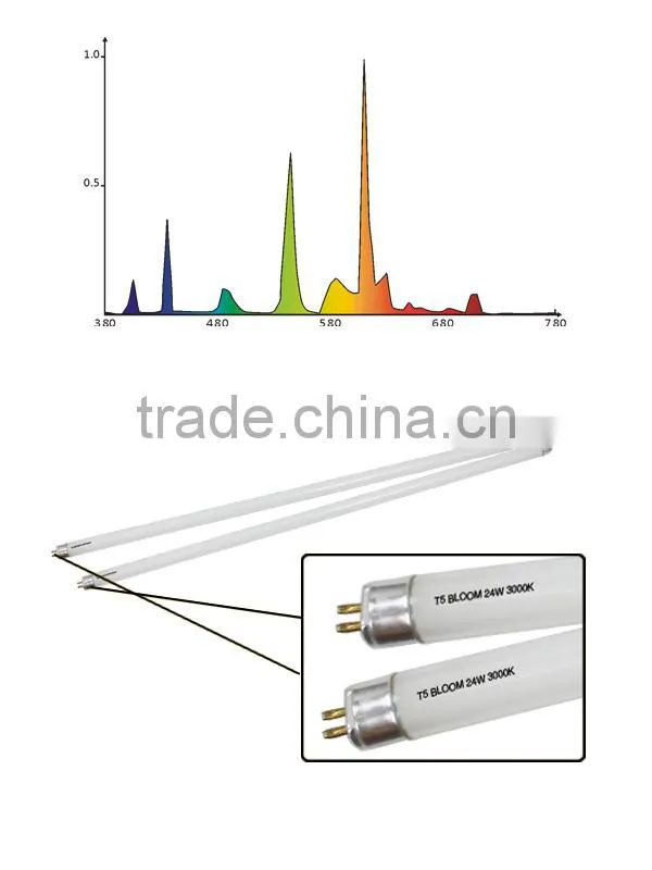 Superior quality fluorescent lamp manufacturers
