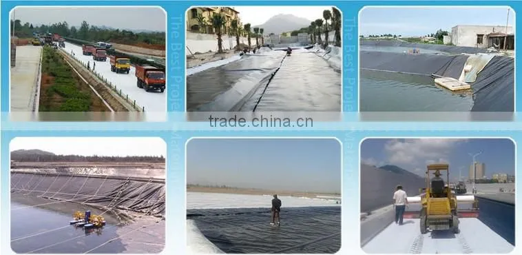Swimming pool water slide dedicated high-end pvc geomembrane