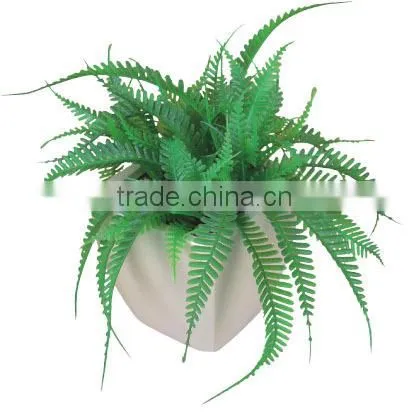 Nearly natural mini succulents potted plant small succulents