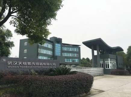 Wuhan TIANBANG Oxygen Sensor Co., Ltd company overview - view 1