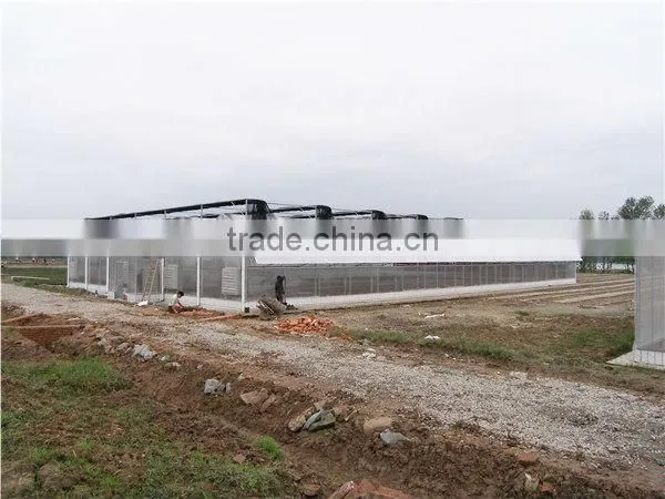 galvanized steel polycarbonate greenhouse