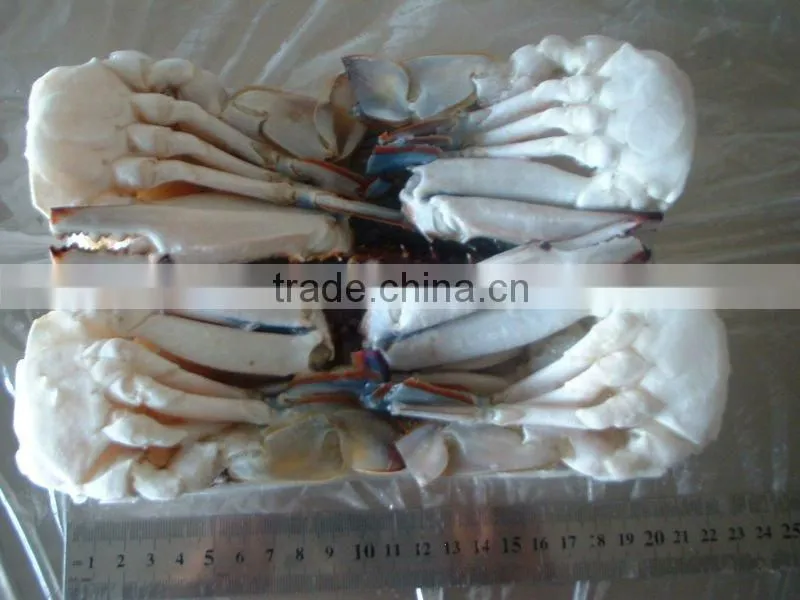 frozen sea crab