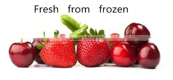 quick freezer tunnel (frozen cold room),pu panel cold room