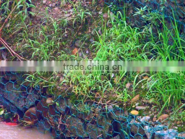 gabion basket(ISO factory, ASTM STANDARD, SGS)
