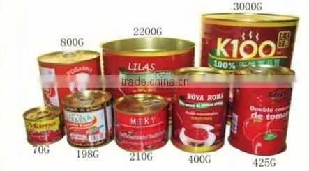 Double Concentrate Canned Tomato Paste Factory Size 70g~3000g.