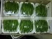 FRESH GREEN CHILLI WITH BEST PRICE ASND GOOD QUALITY