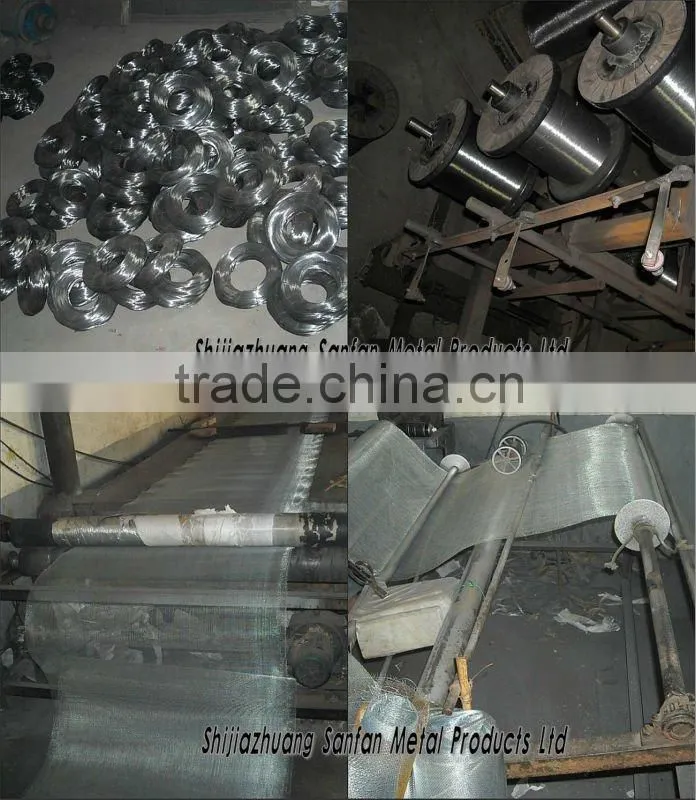 0.17mmX24X24mesh galv. iron wire netting