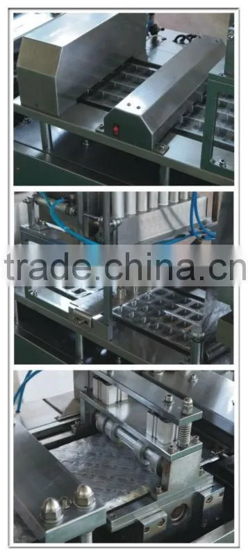 Automatic Medicine Packing Machine