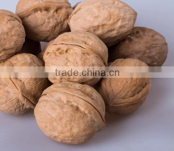 Factory Price Chinese Bulk Walnut in Shell size of 28mm