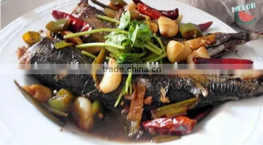 canned mackerel in chili