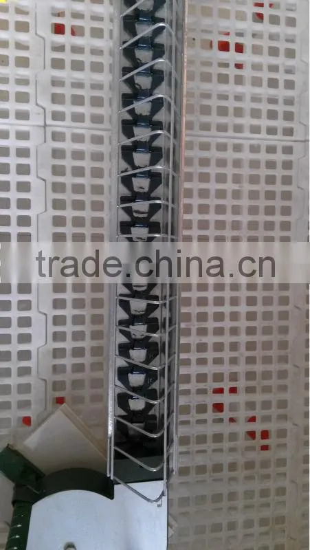 Easy installation Feed chain system for poultry